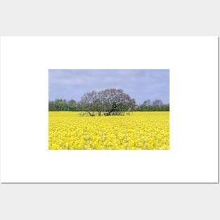 English summer landscape Posters and Art